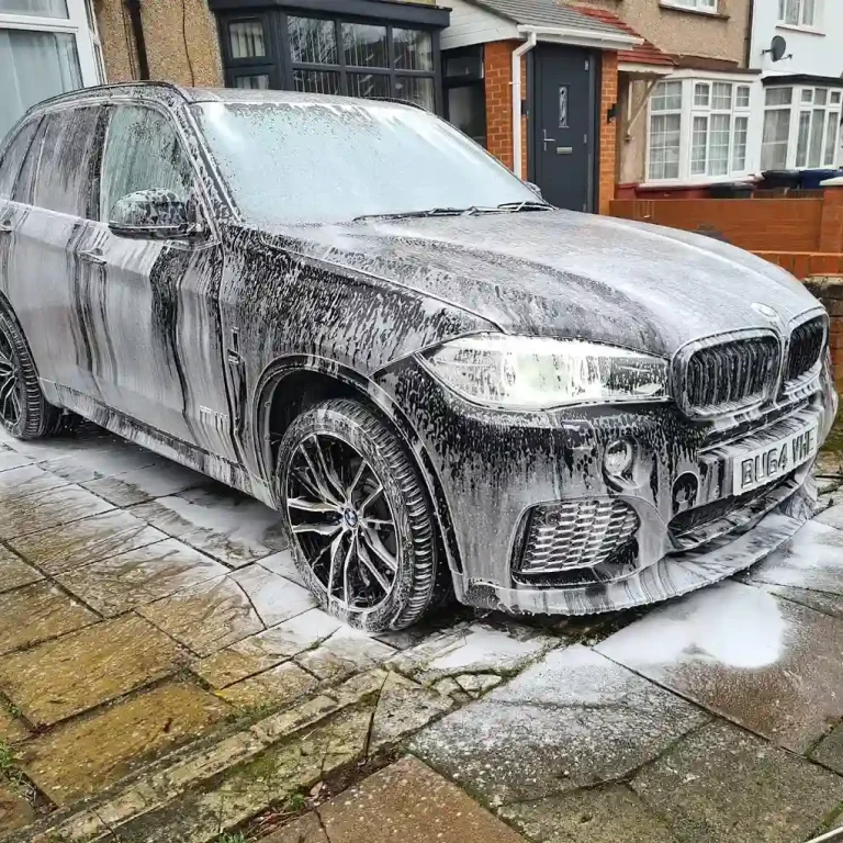Medusa Auto Detailing