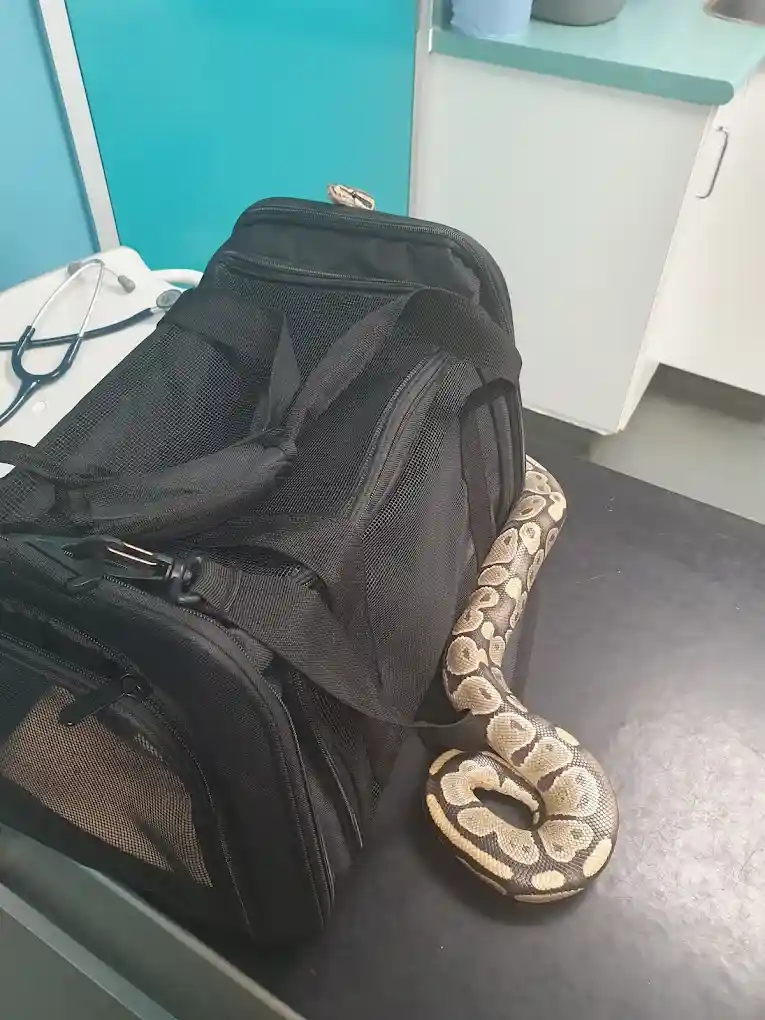 Beaumont Sainsbury Animal Hospital